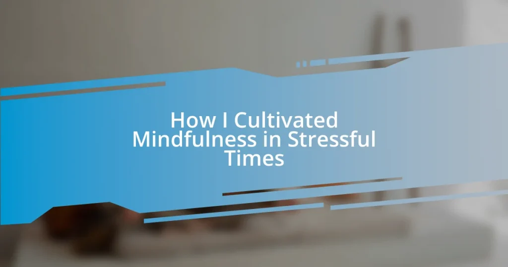 How I Cultivated Mindfulness in Stressful Times